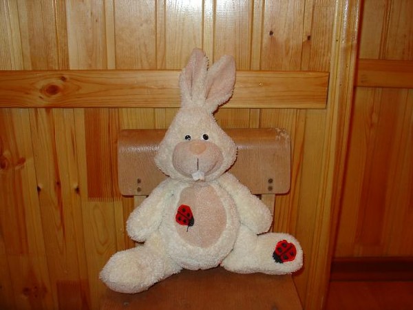 Самыч. Зайцы форева!