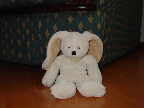 Лёлик. Зайцы форева!