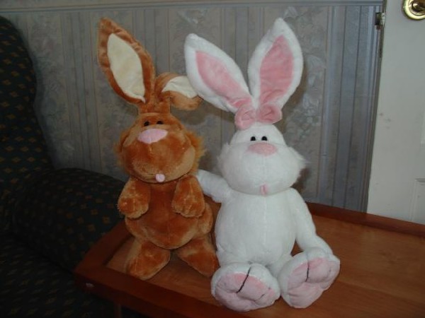 Гуль и Вера. Зайцы форева!