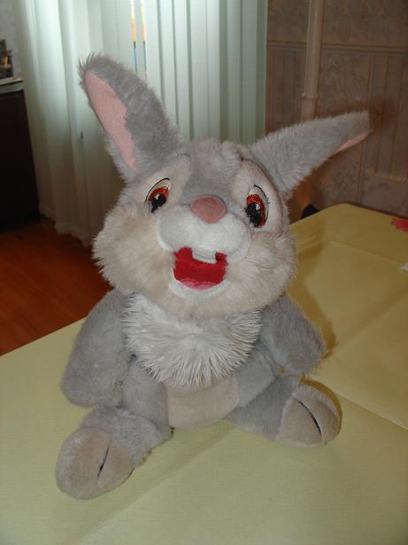 Лапен. Зайцы форева!