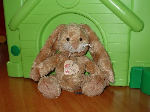 Бусси. Зайцы форева!