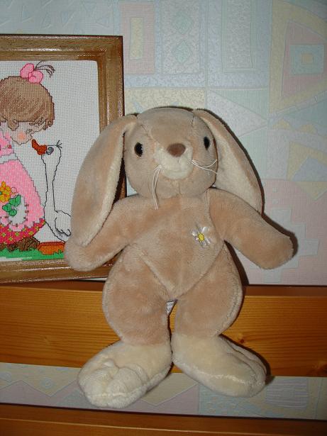 Винни(новый любимчик из Львова:-))))). Зайцы форева!