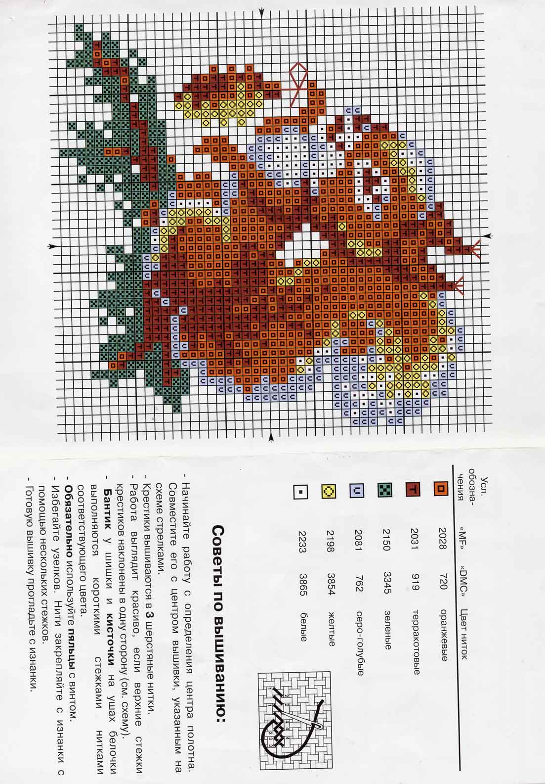 Белочка. Белочка