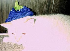 Blueberry - 2. Фруктово-ягодные и другие забавные шапочки