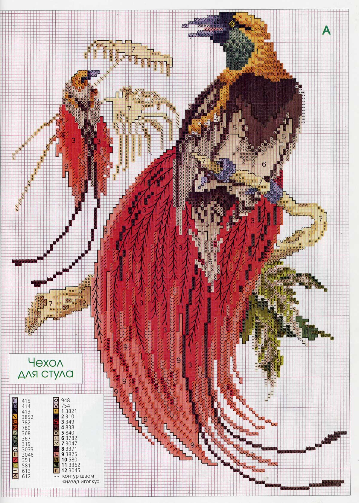 Райские птицы. Птицы