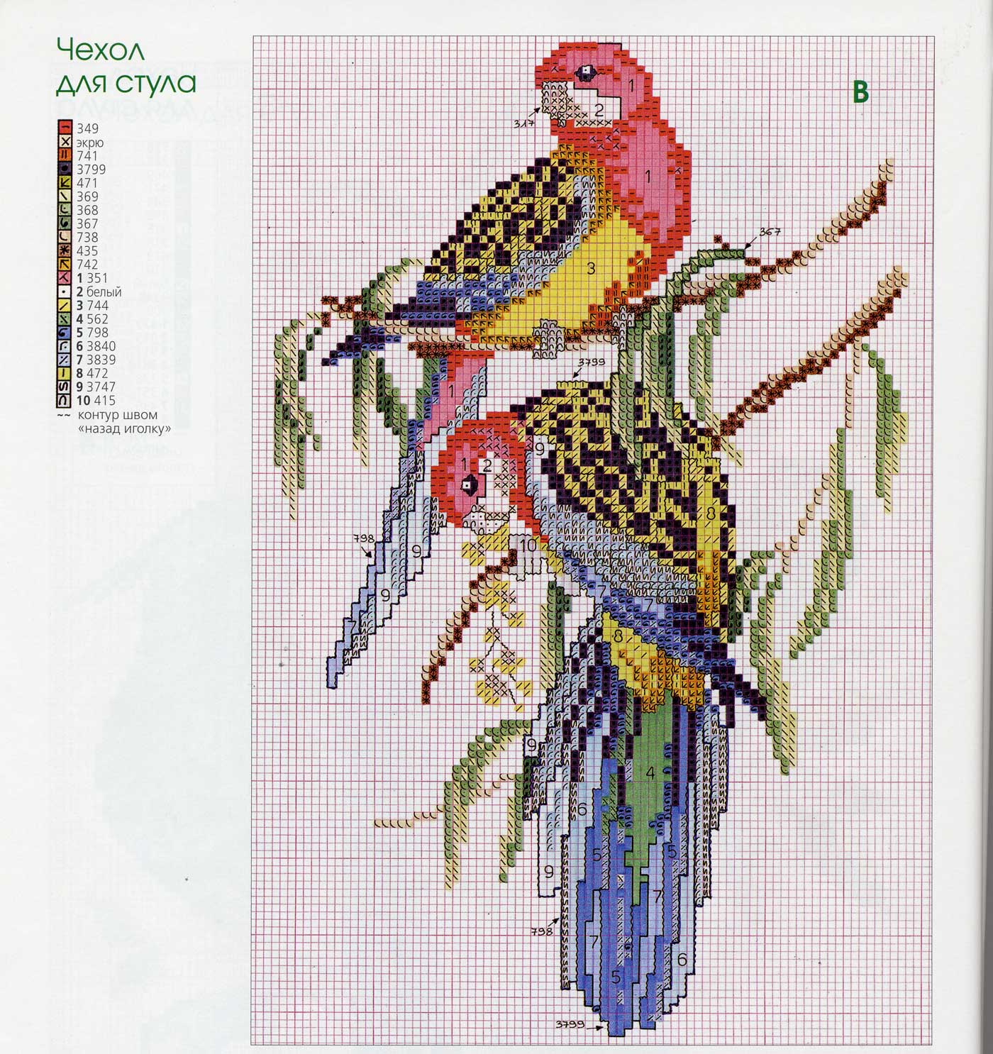 Попугаи. Птицы