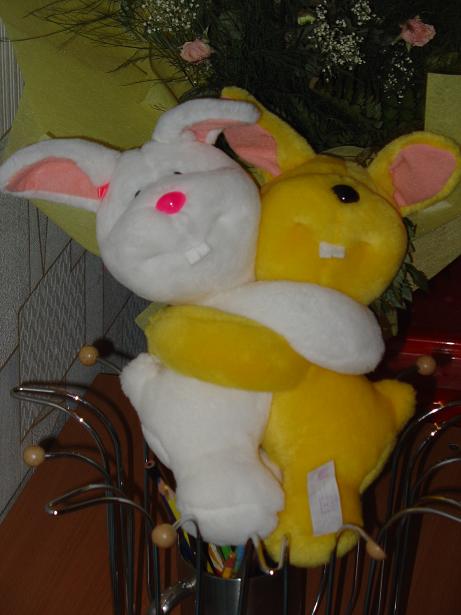 Пятнашки. Зайцы форева!