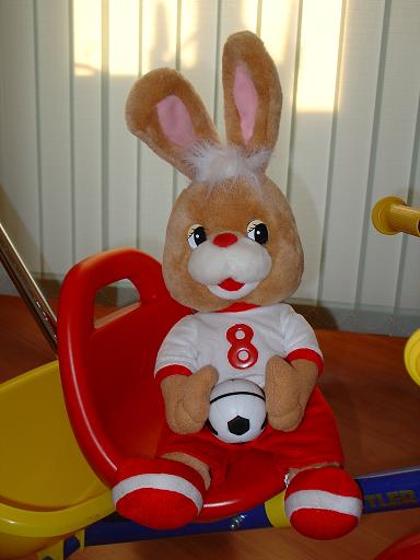 Бекки. Зайцы форева!