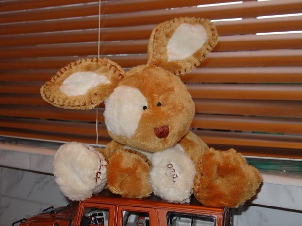 Пифагор(бо он треугольный:-)))). Зайцы форева!