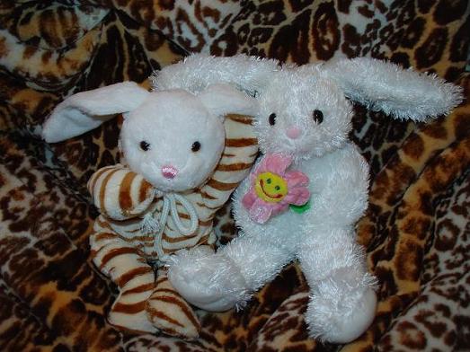 Тига и Цветик. Зайцы форева!