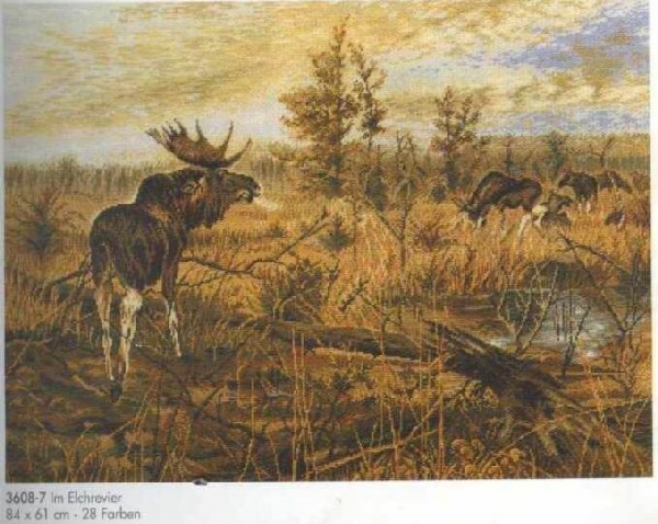 3608-7. Ищу  (Looking for)