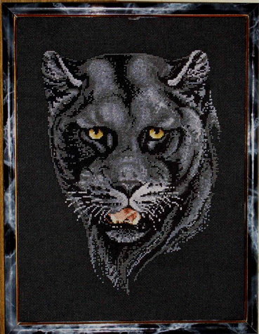 Звер. МОИ РАБОТЫ