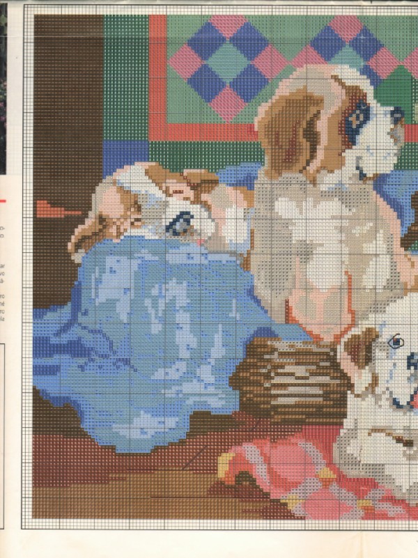 perritos cd.a. perritos