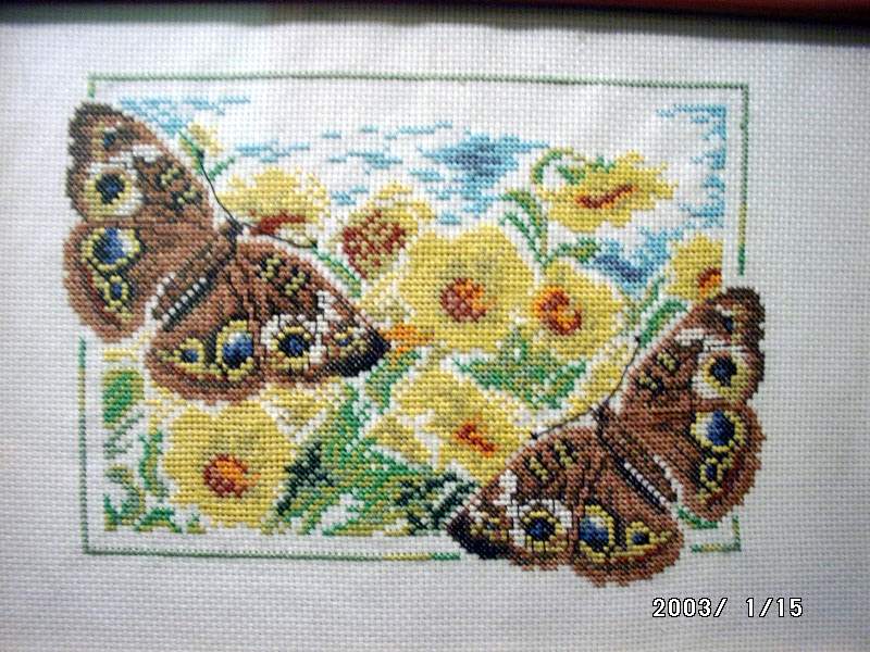 мои вышивки