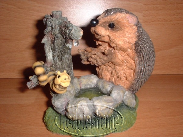 Walnut. Мои Ежики (My hedgies)