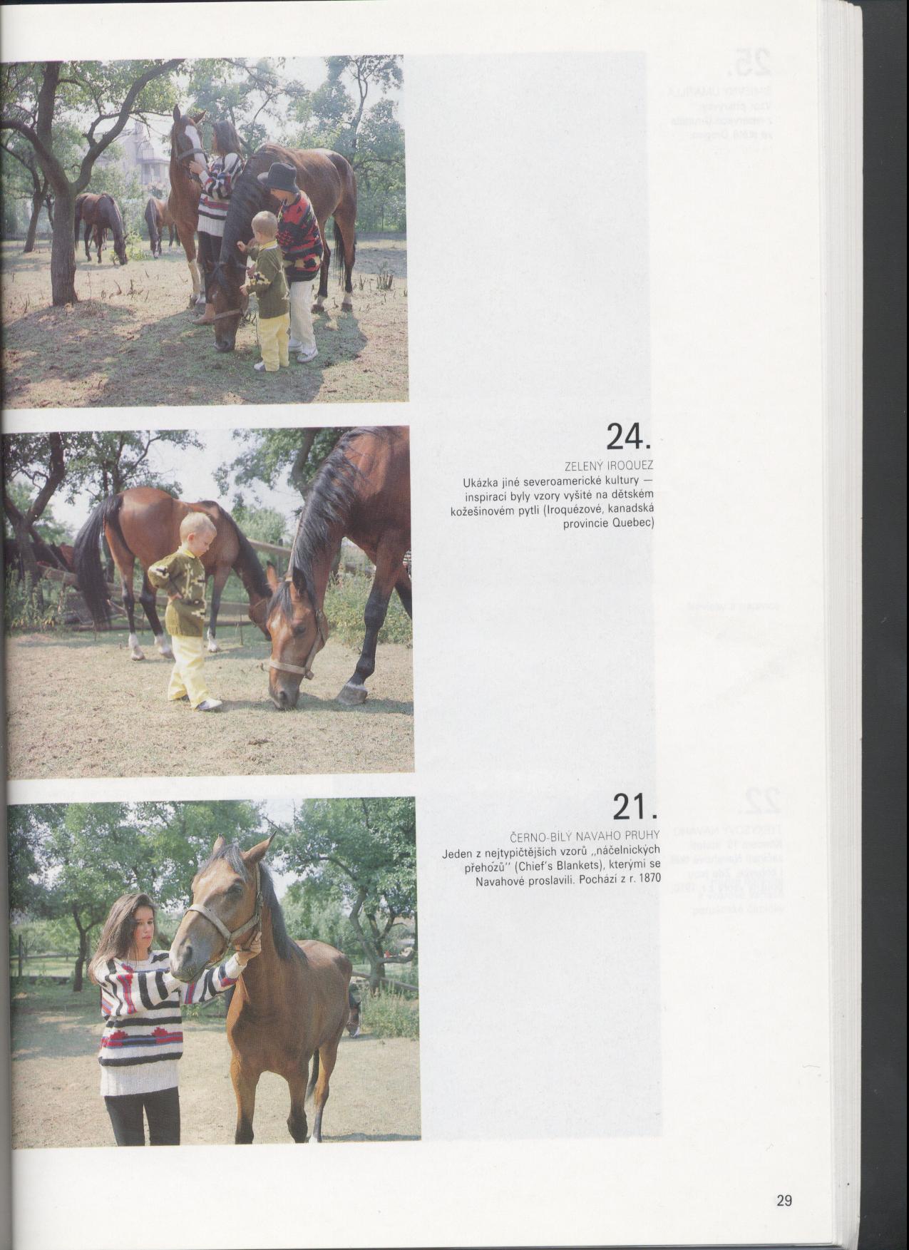 31. Индейская