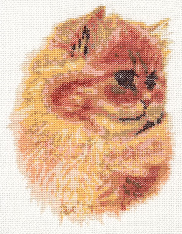 Рыжик. Мои работы