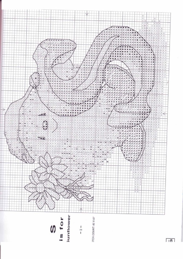 S. COUNTRY COMPANIONS (20-03-04)