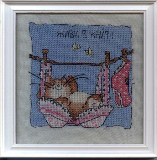 Кот в лифчике.. 