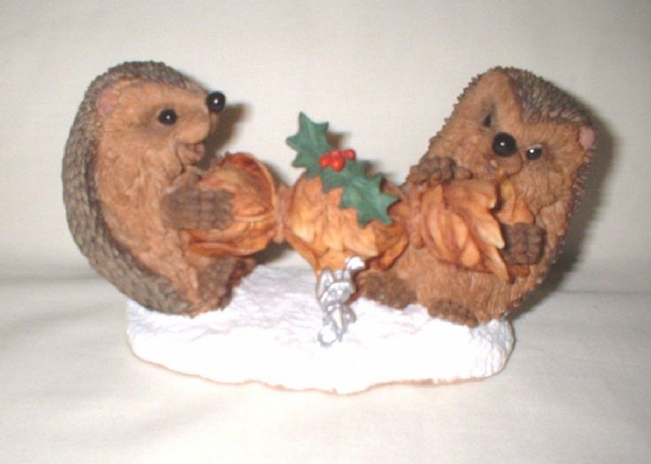 Lollipop and Lottie. Мои Ежики (My hedgies)