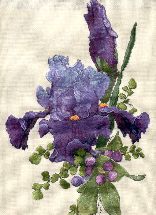 Ирис скан. Мои работы