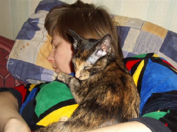 Мы спим. Разные звери