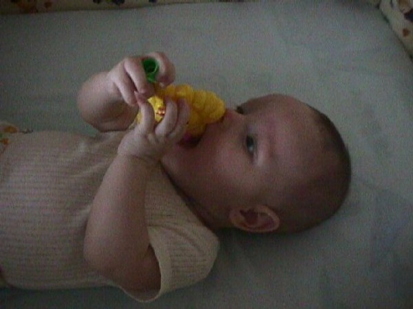 C попугаем. Самый главный