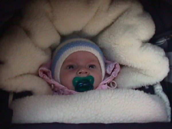 На прогулке. Самый главный