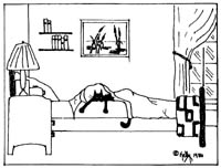 Animals - looking for