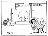 Animals - looking for