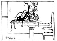 Animals - looking for