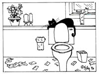 Animals - looking for