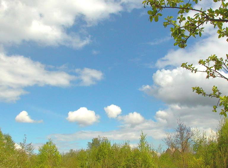 Чем не сюжет для Теи Гувернер?. 