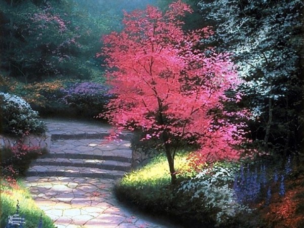 afternoon light .... LOS QUE TENGO