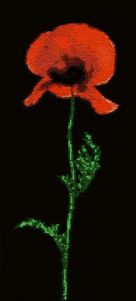 Фотки с удаленных рег