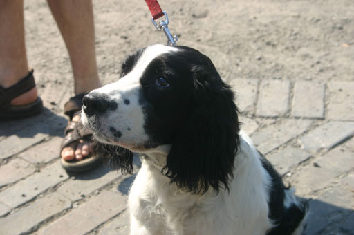 Новая папка