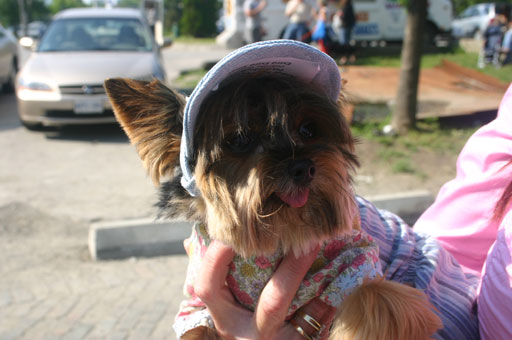 Новая папка