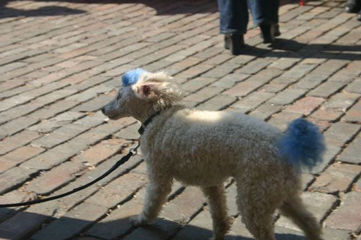 Новая папка