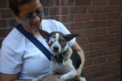 Новая папка