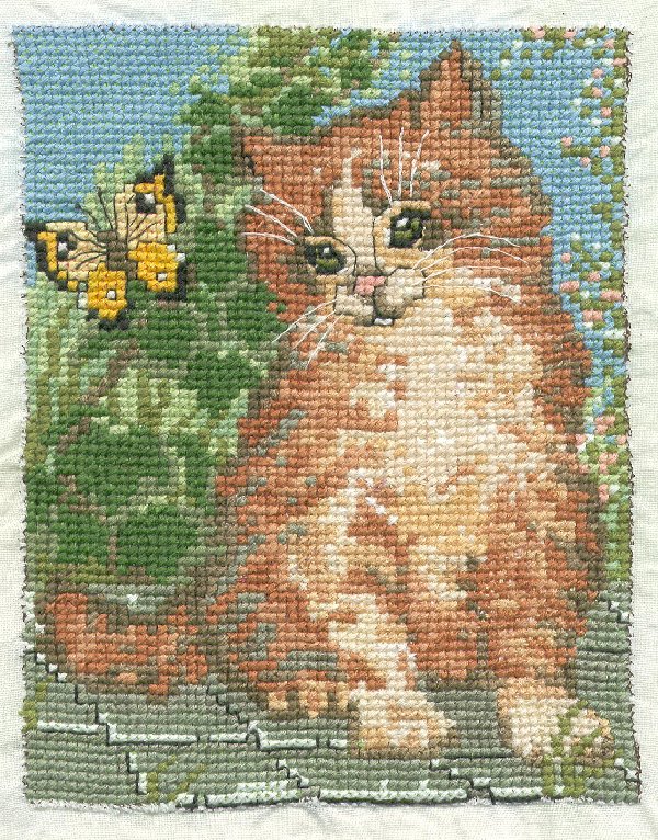 Кот ленивый. В_Кошки  (Cats)