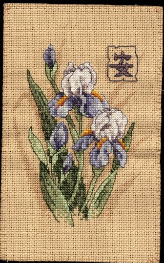 DMS6869 Oriental Irises(с backstitch). Oriental Iris DMS 6869