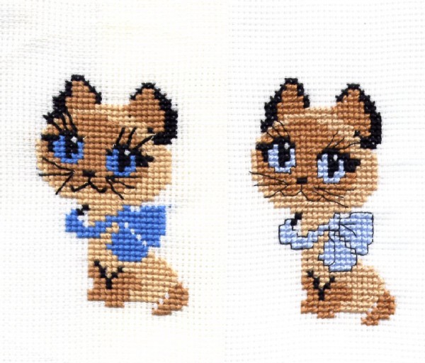 Гав и Гав. В_Кошки  (Cats)