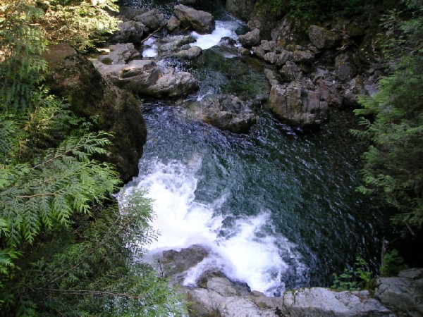 Lynn Canyon Park. 