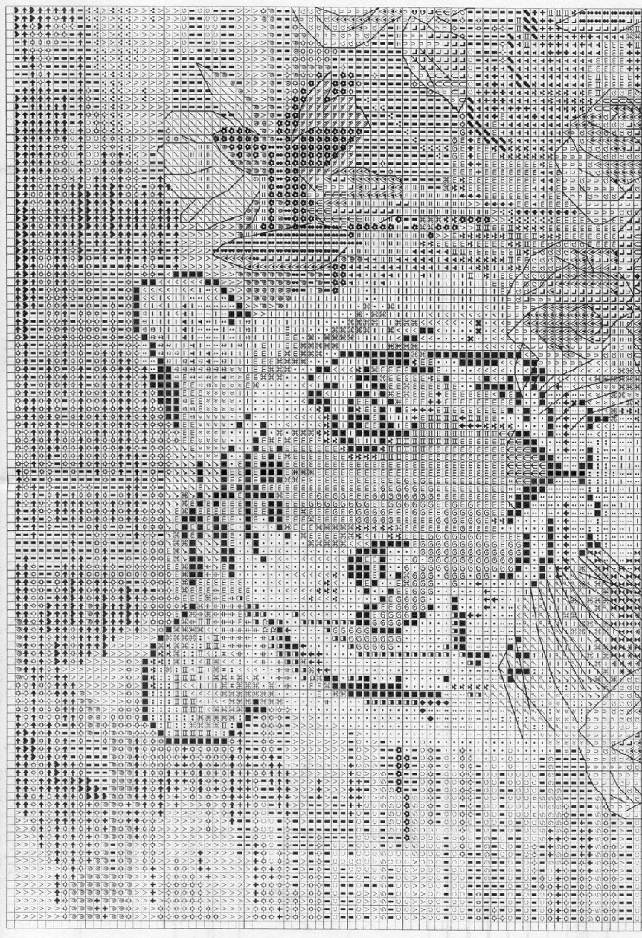 1. Тигрица Candamar