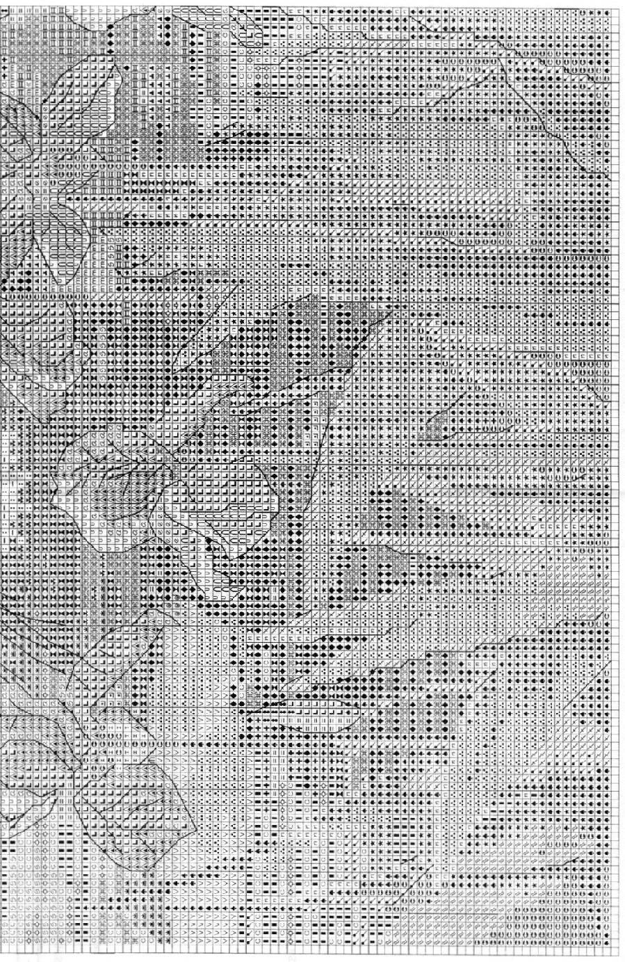 2. Тигрица Candamar