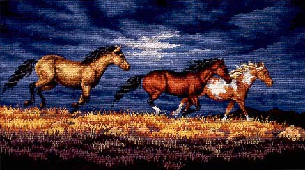 caballos foto. caballos