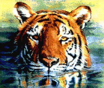 tigre cara (cd.a). LOS QUE TENGO