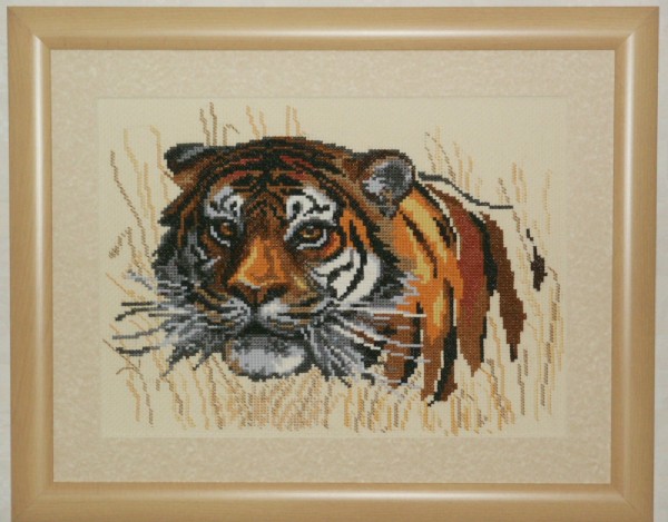 Тигр. В_Кошки  (Cats)