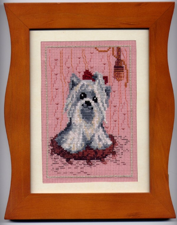 Той-терьер. В_Животные (Fauna)