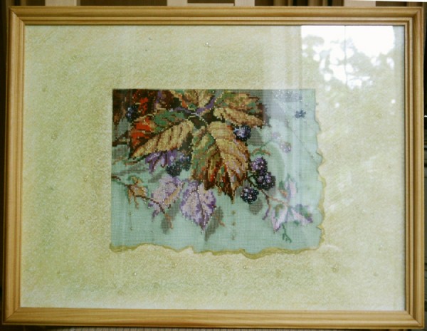 Ежевика. В_Растения (Flora)